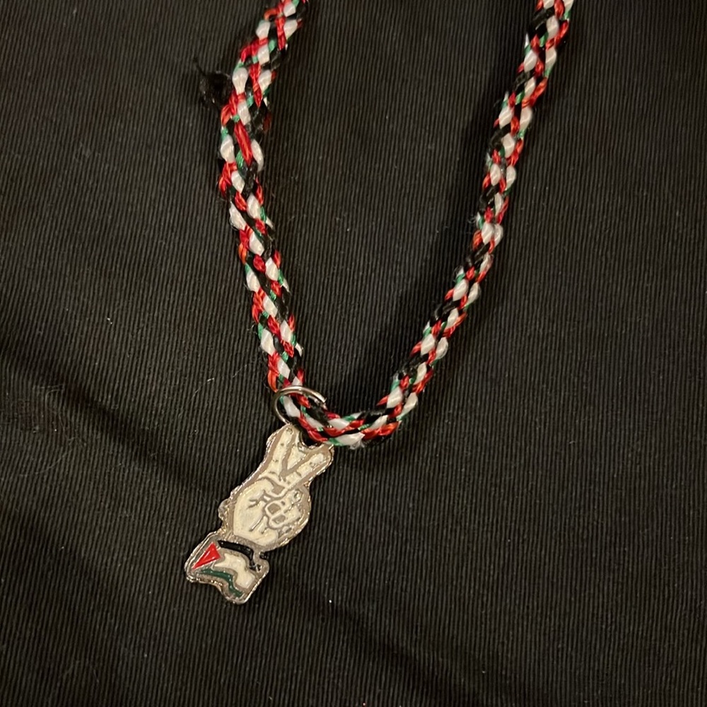 PALESTINIAN MAP NECKLACE flag colors necklace